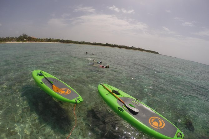 Paddleboard Rentals 3, 5 , 7 days - The Types of Paddleboards Available and Their Uses