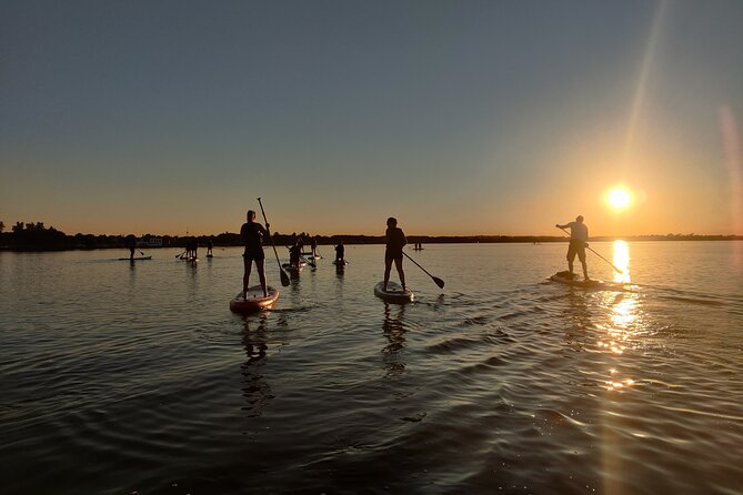 Paddleboarding in Dublin - Key Points