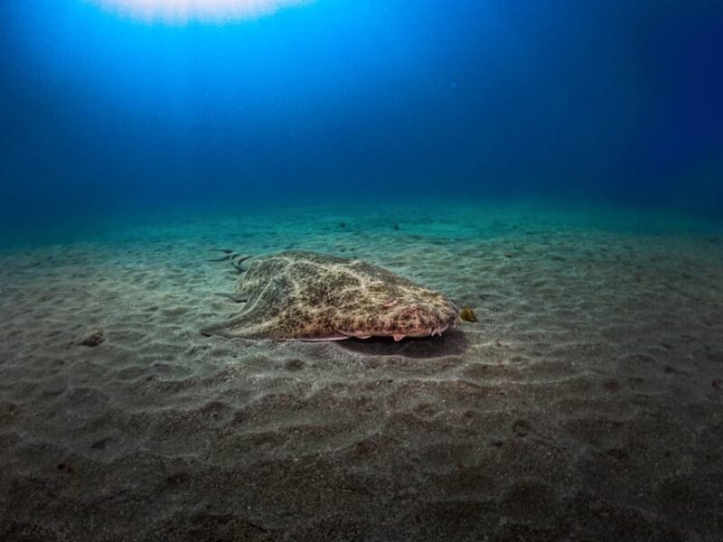 PADI ADVANCED OPEN WATER DIVER - An Inclusive Package with Practical Benefits