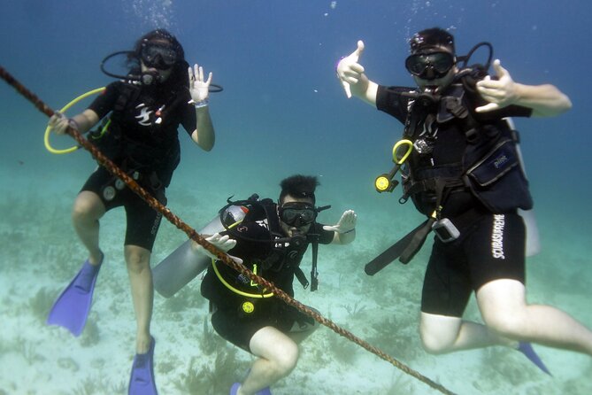PADI Discover Scuba Diving for divers without certification - Small-Group Experience with Top-Notch Guides
