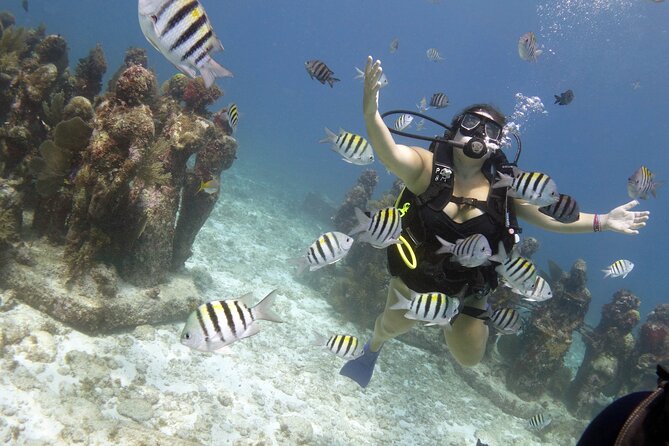 PADI Discover Scuba Diving for divers without certification - Suitable for Beginners and Those Short on Time