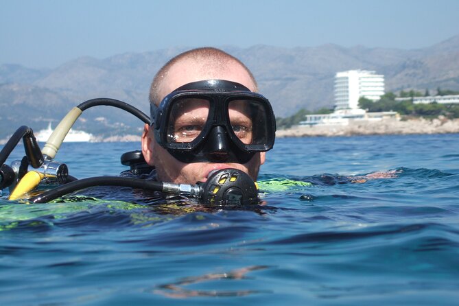 PADI Discover Scuba Diving in Dubrovnik - The Marine Life You Can Expect to See