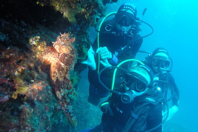 PADI Discover Scuba Diving in Dubrovnik - The Experiences Pacing and Length