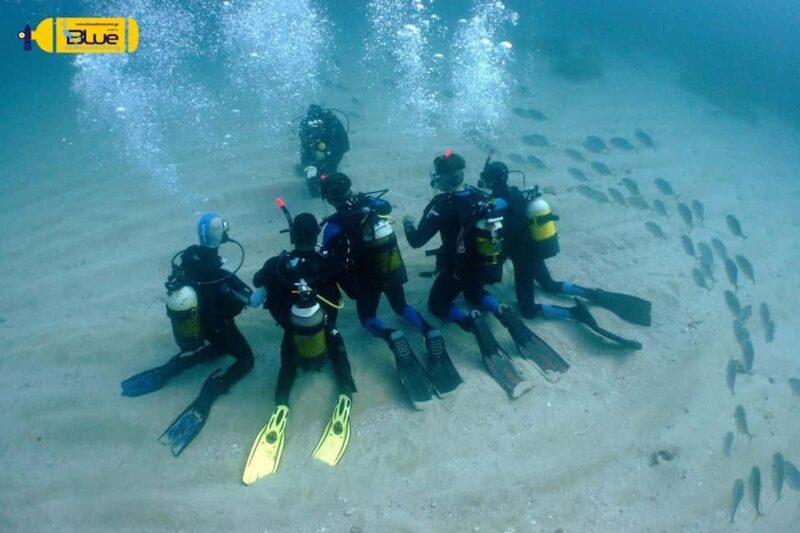 PADI OPEN WATER COURSE - BECOME A DIVER TODAY - Physical Requirements and Suitability