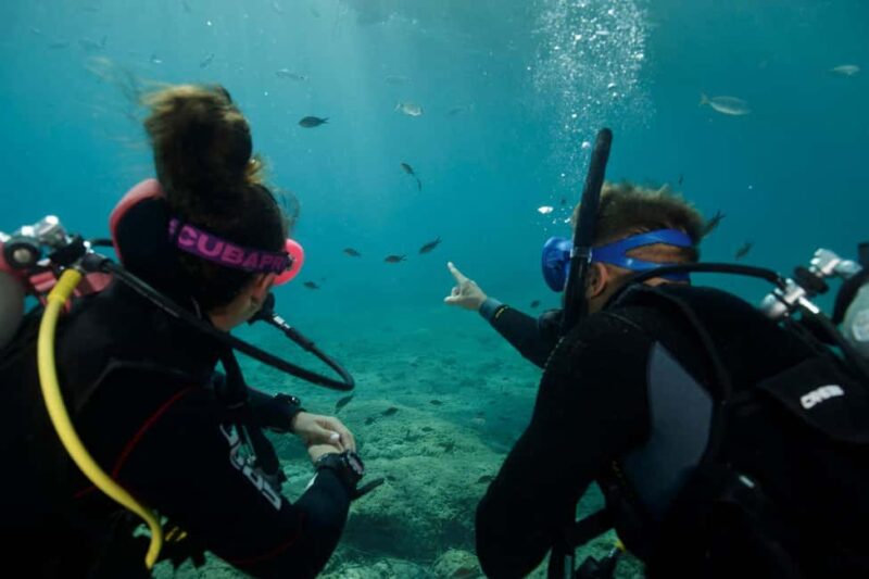 PADI OPEN WATER COURSE - BECOME A DIVER TODAY - What Sets This Course Apart in Crete