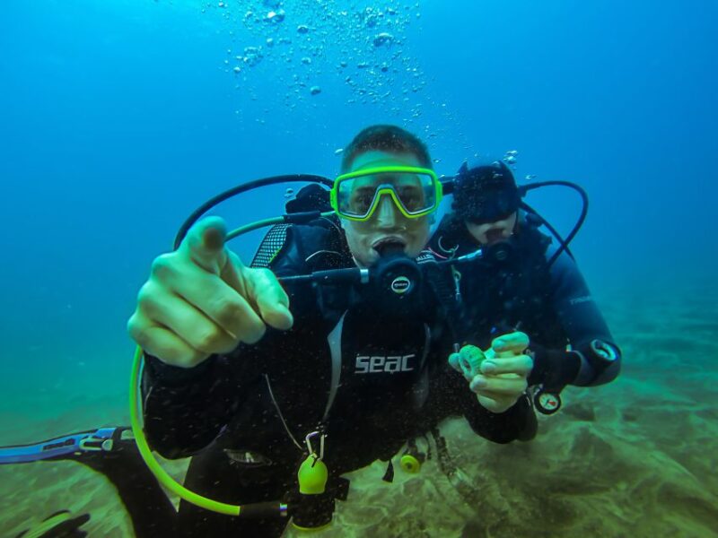 PADI Open Water Course in 3 Days - The Importance of the Course Content and Certification