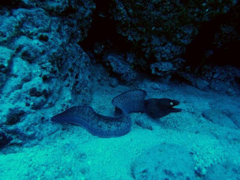 PADI Open Water Course in 3 Days - Final Thoughts on the 3-Day PADI Open Water Course