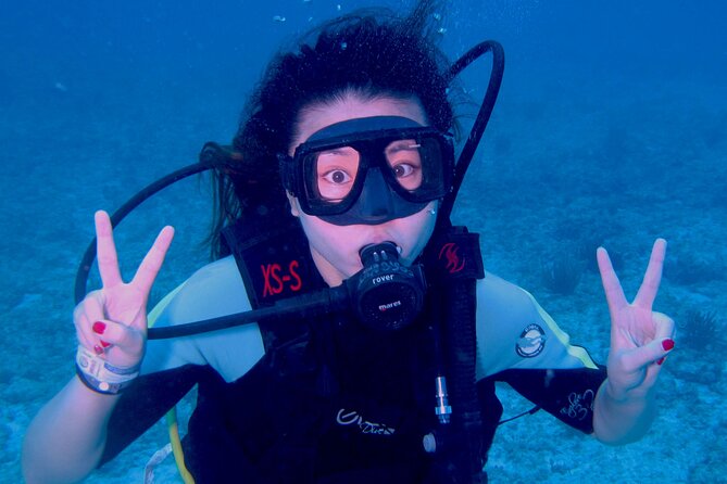 PADI Open Water Diving Certification Course Activity - Four Open Water Dives and the Underwater Museum of Art