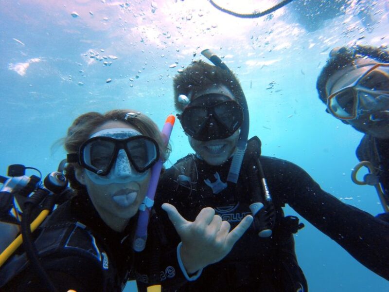 PADI Open Water Diving Course Tenerife - The Expertise Behind Your Underwater Adventure