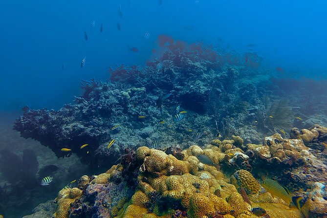 PADI Refresher Course - Flexibility with Weather and Cancellations