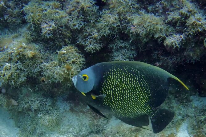 PADI Refresher Course - Logistics and Practical Details for a Smooth Day