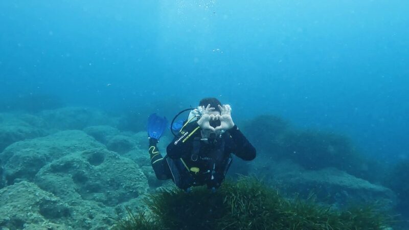 PADI Scuba Diving Program for Beginners in Peloponesse - Marine Life and Underwater Environment of the Ionian Sea