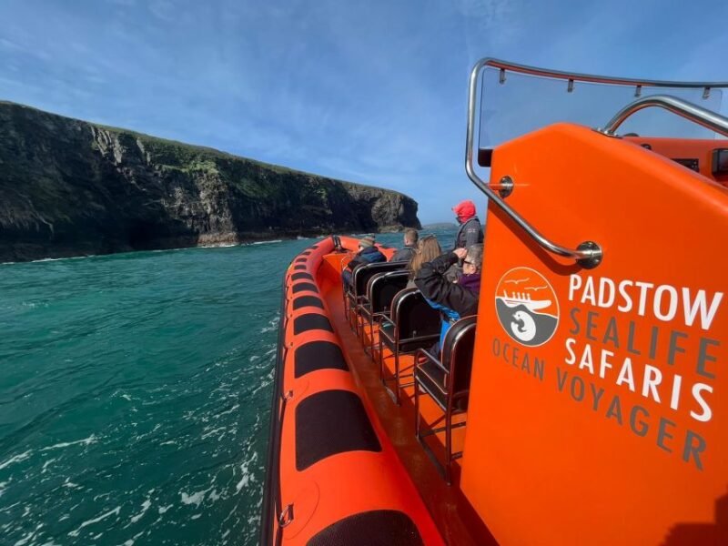 Padstow: Guided RIB Sealife Safari - Meeting Point and Booking Flexibility