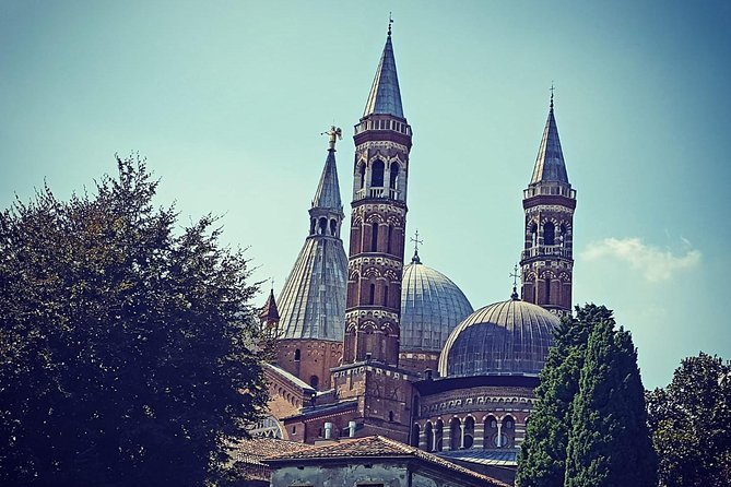 Padua City Sightseeing Walking Tour of Must-See-Sites with Local Guide - Key Points