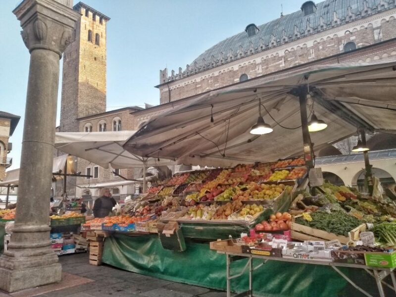 Padua: Experience Padova Like a Local Guided Tour - Visiting Palazzo Bo and the University of Padua