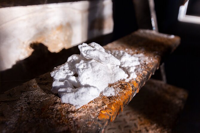 Paella, Olive Oil, Wine & Relax in Rural Estate outside Madrid - Scenic Hike Through Vineyards and Olive Groves