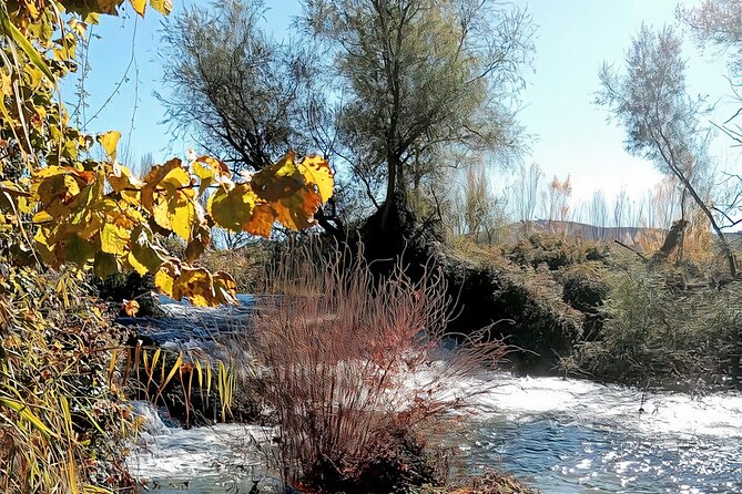 Paella, Olive Oil, Wine & Relax in Rural Estate outside Madrid - What Sets This Tour Apart from Others