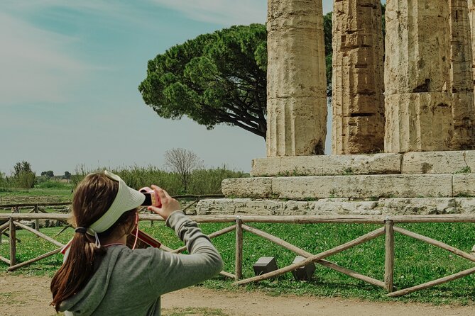 Paestum 3 Hours Archaeological Private Tour - The Artifacts and Exhibits in the Museum