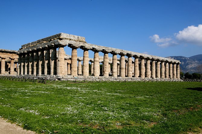 Paestum, Buffalo Mozzarella tasting and light lunch private tour - Flexibility and Pacing for a Relaxed Day