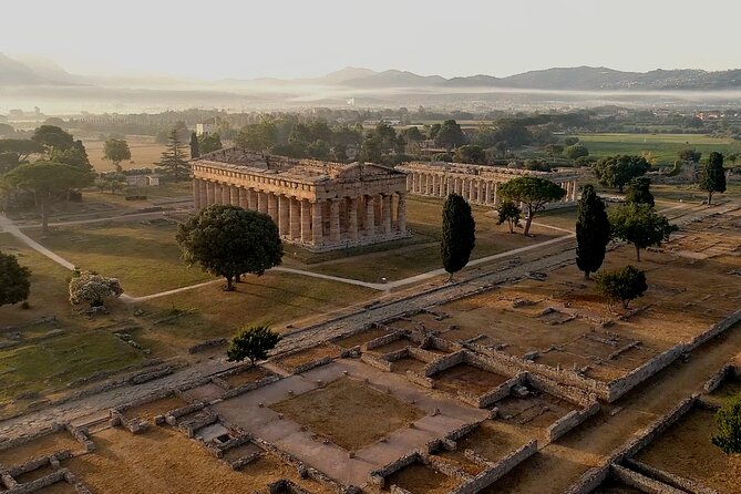 Paestum Private: Temples & Archaeological Museum with Your Local Archaeologist - Pricing and Booking Considerations