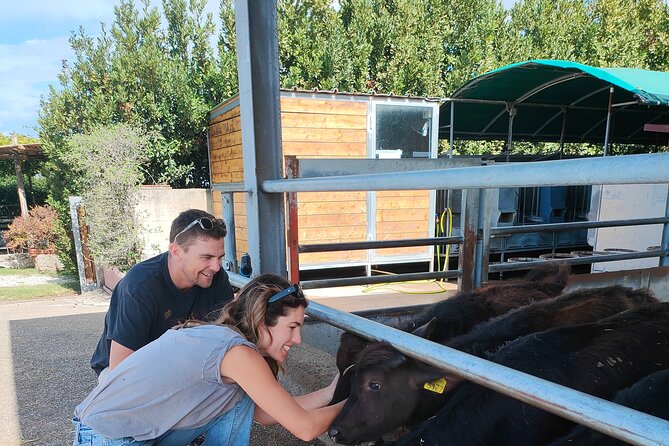 Paestum Traditions, Buffaloes, Ceramics, Temples - Evening Tour of Paestum’s Illumined Temples