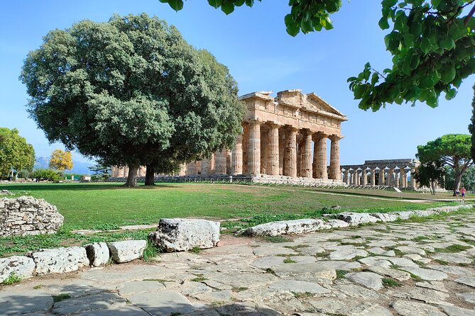 Paestum Traditions, Buffaloes, Ceramics, Temples - Practical Tips and Considerations