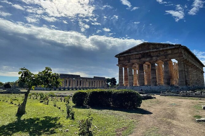 Paestum Whole Family Private Tour - An Engaging, Family-Focused Tour of Paestum for All Ages
