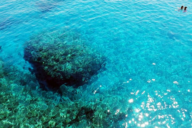 Pafos Zoo Visit & Blue Lagoon Cruise with Local Guide from Paphos - Practical Logistics: Pickup, Transport, and Meeting Points