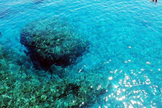 Pafos Zoo Visit & Blue Lagoon Cruise with Local Guide Limassol - Discover a Family-Friendly Day Tour Combining Wildlife and Sea Adventures in Limassol