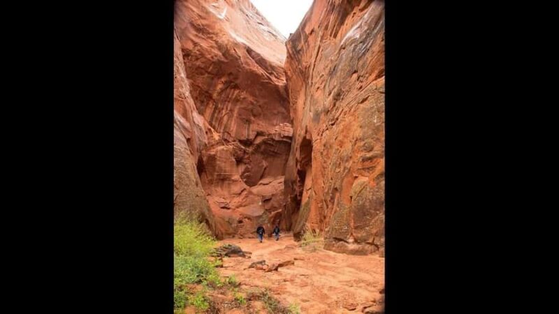 Page: Rams Head Canyon Guided Hike - Explore the Rugged Beauty of Rams Head Canyon for Experienced Hikers