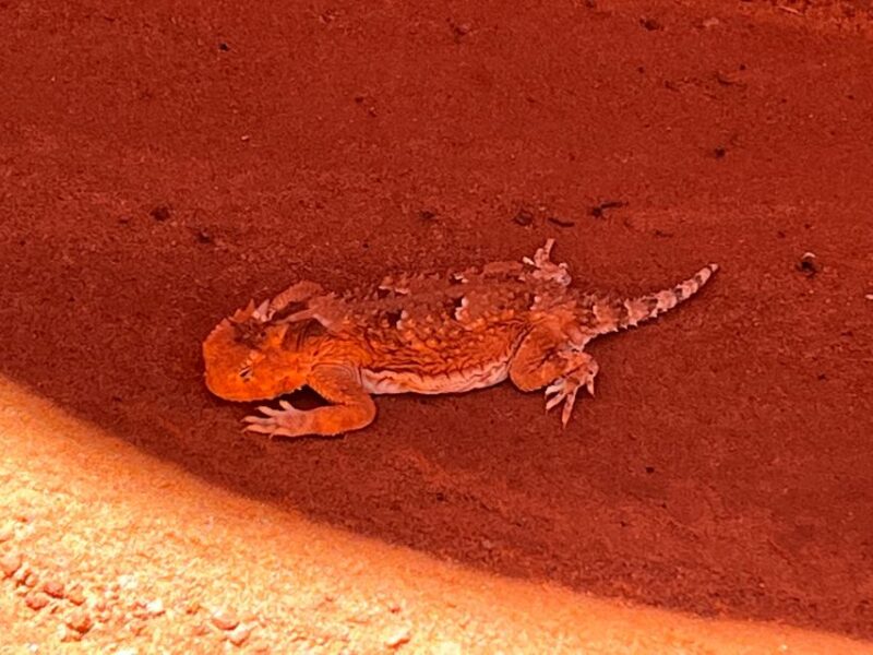 Page: Traditional Navajo Hogan Stay & Antelope Canyon Tour - Who Will Appreciate This Tour the Most