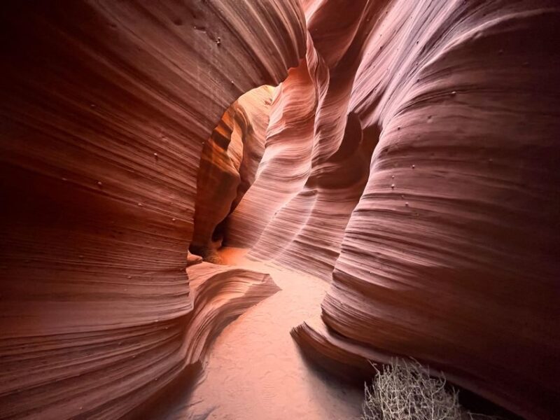 Page: Traditional Navajo Hogan Stay & Antelope Canyon Tour - The Authentic Navajo Cultural Experience