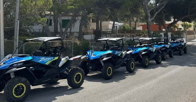 Paguera: 2 Hour Buggy Tour - Exploring the Calvía Coastline and Mountain Paths