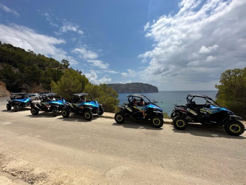 Paguera: 2 Hour Buggy Tour - Limitations: What to Expect from the Route