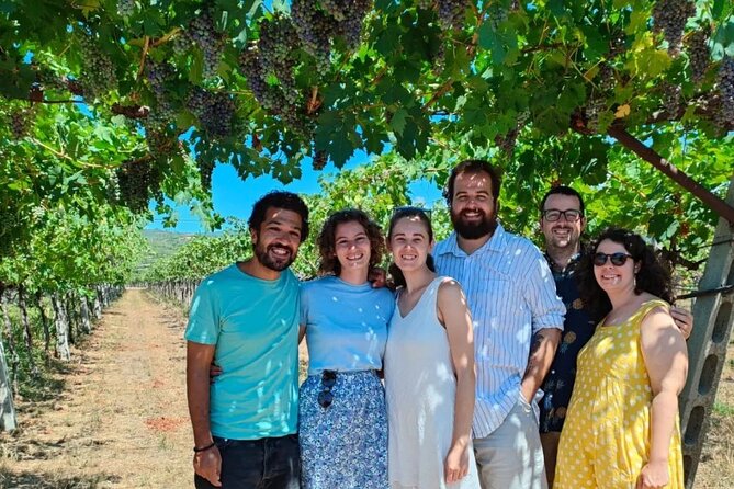 Pagus Wine Tours® - A taste of Amarone - Half day wine tour - Practical Details and Logistics