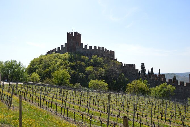 Pagus Wine Tours® - Soave and Amarone - Half day wine tour - Comfortable Transport in a Climate-Controlled Minivan