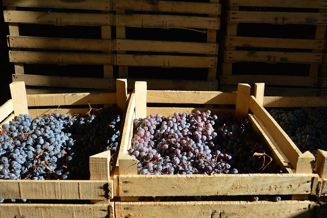 Pagus Wine Tours® - Two Amarone wineries - Half day wine tour - Visiting the Second Winery: A Startup with a Personal Touch