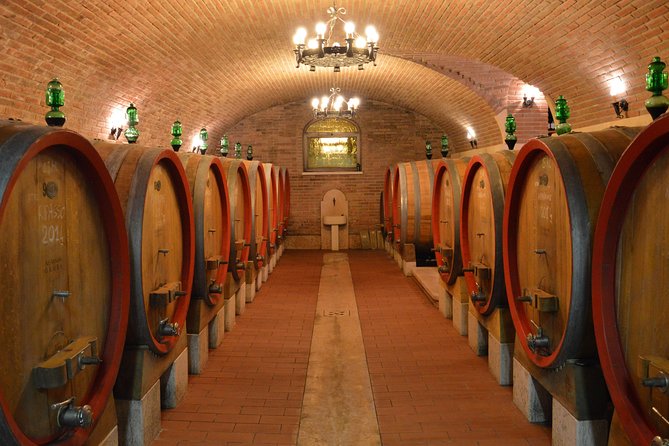 Pagus Wine Tours® - Two Amarone wineries - Half day wine tour - Highlights of the Tour Experience