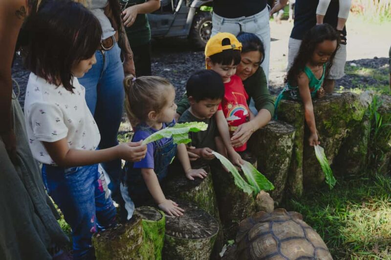 Pahoa: Ranch Tour with Animal Feedings and Interactions - Accessibility and Restrictions for the Ranch Tour