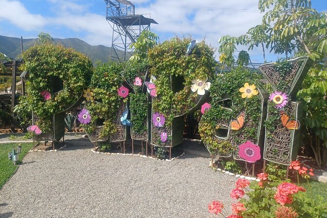 Pai Pai Animal Experience: Private Ride and Ticket Assistance - Reliability and Comfort of Private Transportation