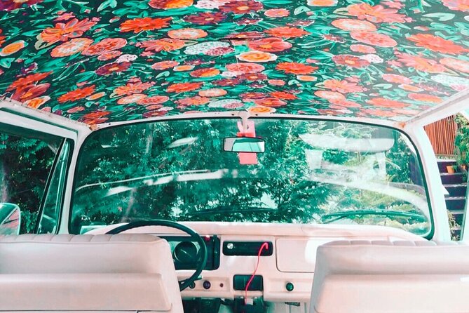 Painted Ladies Private San Francisco Tour - Who Should Consider This Tour?