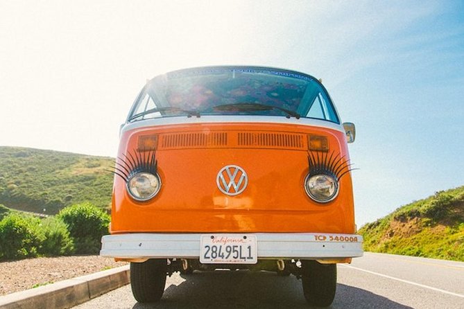 Painted Ladies Private San Francisco Tour - Final Thoughts on the Painted Ladies Private San Francisco Tour