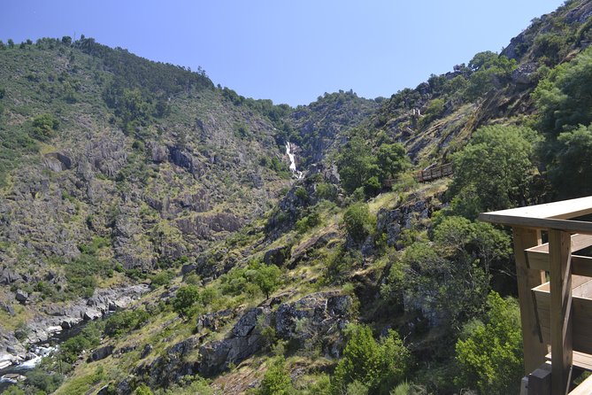 Paiva Walkways and Alvarenga Small-Group from Porto - Discover the Scenic Paiva Walkways in Arouca Geopark