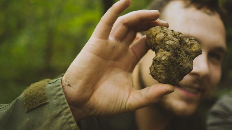 Paladini: Truffle Hunting Tour with 3-Course Tasting Menu - Discover the Charm of Paladini’s Truffle Hunting Tour