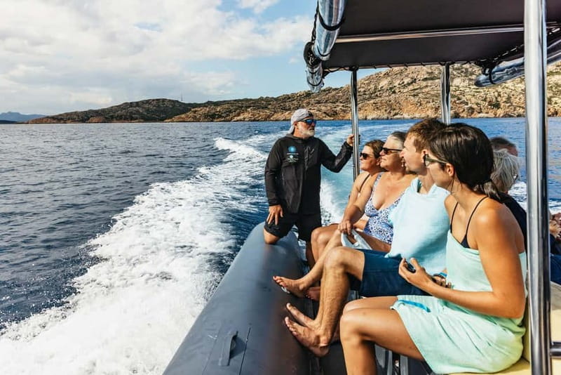 Palau or La Maddalena: 4-hour RIB tour of the archipelago - Physical Requirements and Accessibility Notes
