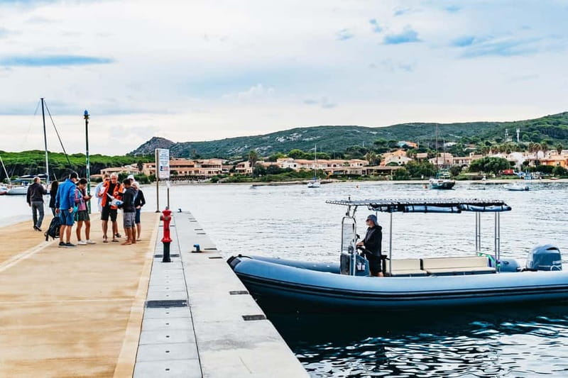 Palau or La Maddalena: 4-hour RIB tour of the archipelago - The Sum Up: A Compact Marine Adventure in Sardinia’s Best Spots