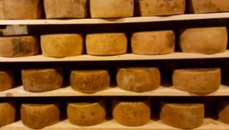 Palazzolo Acreide: Ricotta Cheese and Farm Tour with Tasting - Authentic Ricotta Cheese and Farm Experience in Palazzolo Acreide