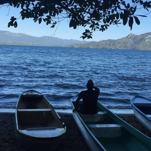 Palenque: Catazajá Lagoon Wildlife Adventure - Experience a Wildlife-Filled Day at Catazajá Lagoon for $98