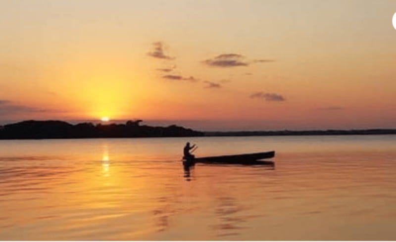 Palenque: Catazajá Lagoon Wildlife Adventure - Wildlife Sightings on the Boat Tour