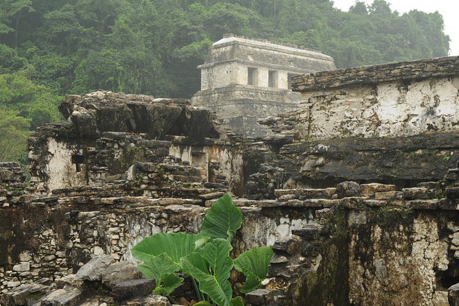 Palenque Mayan Ruins, Misol-Ha and Agua Azul Waterfalls Full Day Tour from Palenque - Pacing and Duration of the Tour